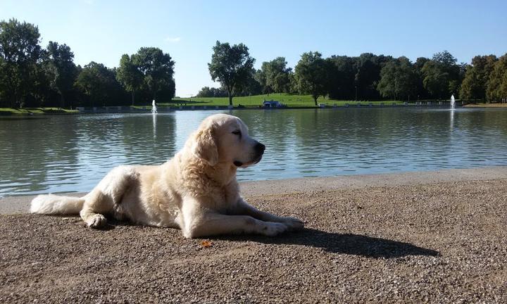 Biergarten am Aachener Weiher